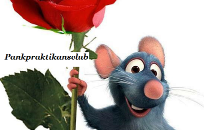 Pankpraktikan