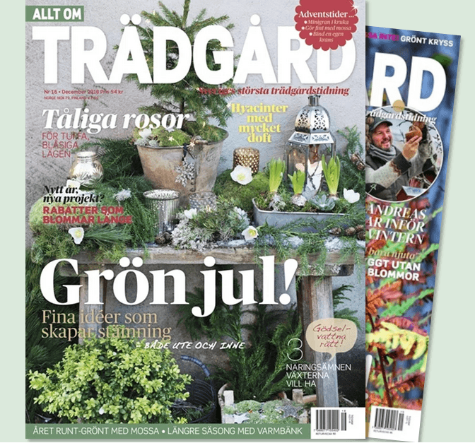 trädgård gratis