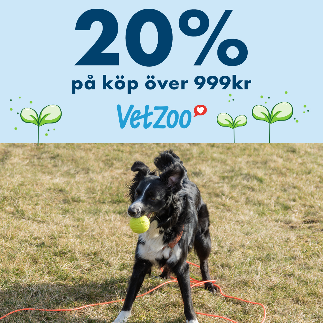 20% rabatt på Vetzoo